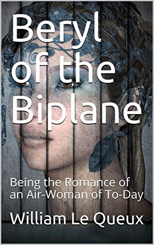Beryl of the Biplane Being the Romance of an Air-Woman of To-Day